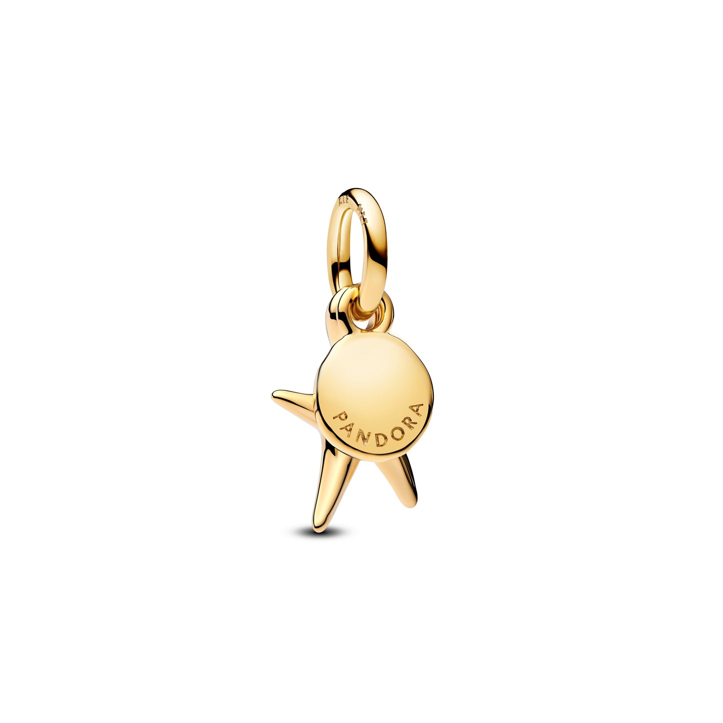 Starfish Double Dangle Charm